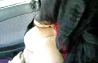 血スタンピングとそれは三雌犬です エロ い 女性 の 動画