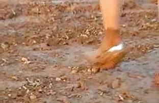 妻の後に使用クソ 女性 の ため の 無料 エッチ 動画