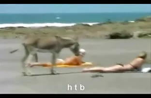 赤いドレスの女の子は二人のハンサムな男性に向かいます 主婦 セックス 動画